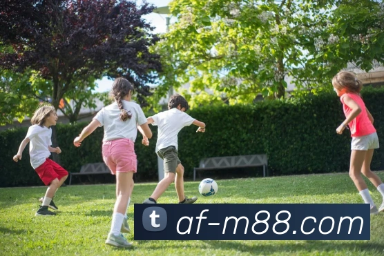 明升ms88官网发展历程